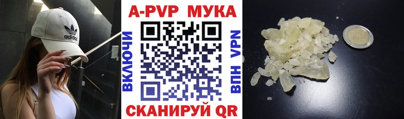 Альфа ПВП СК  Северская 