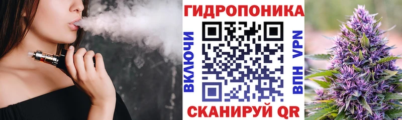 Бошки Шишки гибрид  Северская 